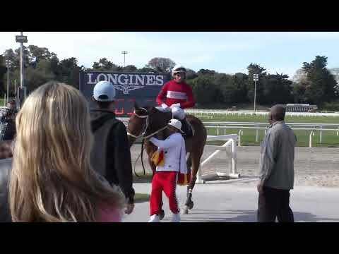 220911 c01 WILD SCENE