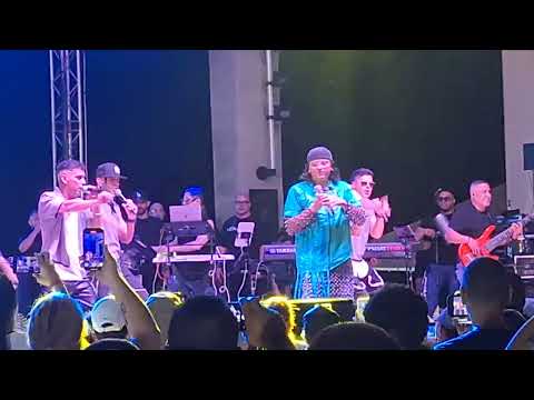 La foto se me borro 🎼 Elvis Crespos Ft Zone D' Tambora. 🎤🎼