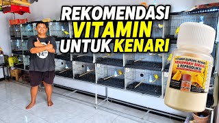 Download lagu TIPS‼️Rekomendasi VITAMIN untuk TERNAK dan HARIAN Burung KENARI... mp3