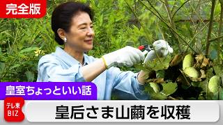 皇后さま山繭を収穫…きれいな緑【皇室ちょっといい話】(265)