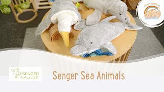Senger Sea Animals