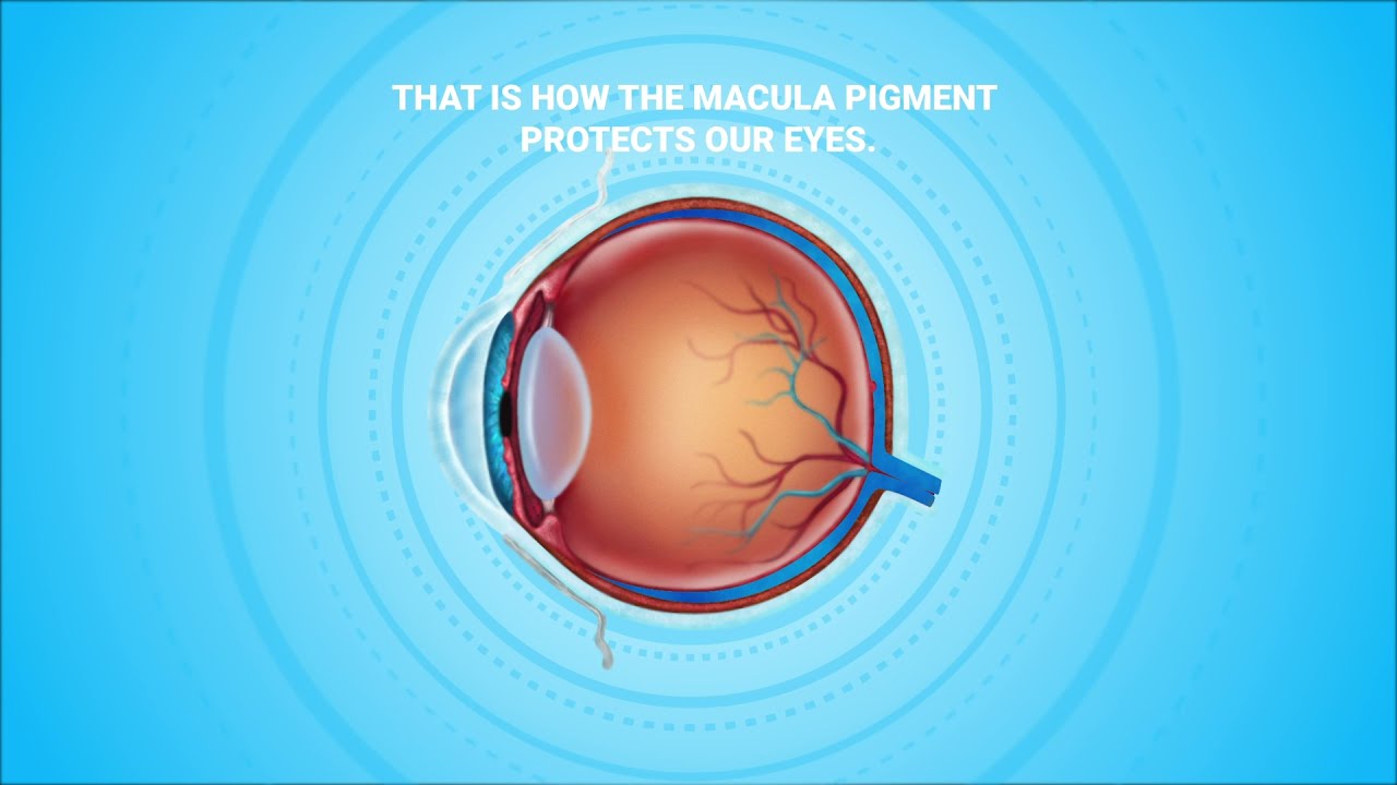 👁️ Vision X | Medical Animation