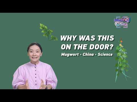 Why has mugwort been hung on Chinese doors for 2,000 years?