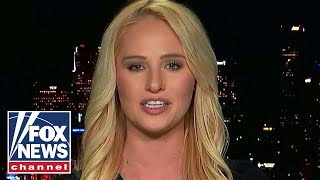 Tomi Lahren on Dems challenging Trump's national emergency