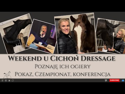 Weekend at Cichoń Dressage - I sneak into the stallion stables, a show, a conference and my speech