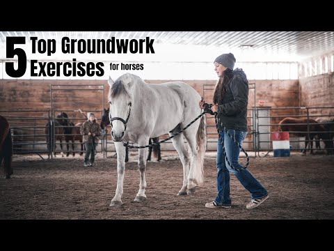 Sam VanFleet &mdash; Top 5 Daily Groundwork Exercises (Backing in the Routine)