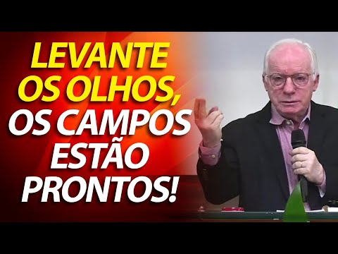 Lift up your eyes, and see the fields, for they are already white for harvest. (John 4:31-38)