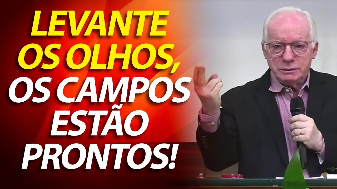 Levantai os vossos olhos, e vede as terras, que já estão brancas para a ceifa. (João 4:31-38)