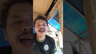 Download lagu Horas jala gabe habis boras tinggal cabe mp3 Download lagu Horas jala gabe habis boras tinggal cabe mp3