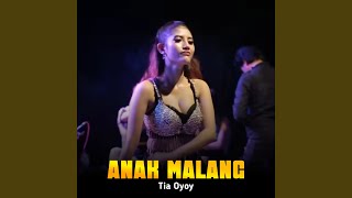Download lagu Anak Malang mp3