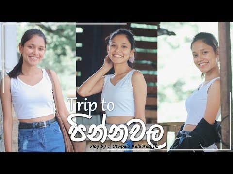 Pinnawala Elephant Orphanage Adventure | Exploring near Peradeniya University | Episode 01