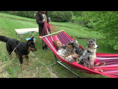 FEELING THE NATURE - Im EINKLANG mit VOGELSANG - Astrids "ALM"-Hütte 8.5.2017