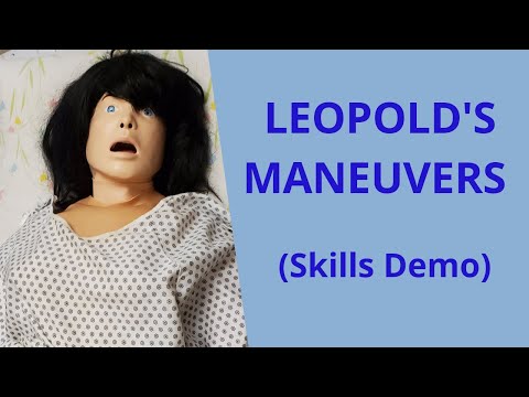 PREFORMING LEOPOLD'S MANEUVERS | SKILLS DEMO