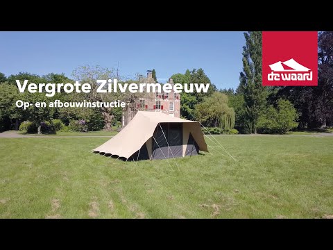 Herring Gull setting up and taking down