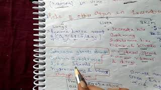L7 excretory products and their elimination | | role of other organ in excretion  | |