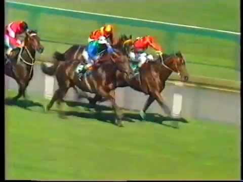 Trissaro winning the 1983 Underwood Stakes on Protest