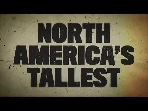 Iron Gwazi short video by Tampa Bay Parenting Magazine