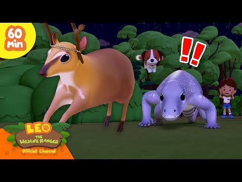 Witness21 Editor  2024 03 02