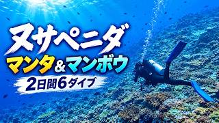 【バリ島・ヌサペニダ】念願のマンボウ!マンタにも会えたリピーターYさん2日間6ダイブ
