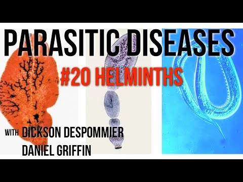 helminthiasis jelentése