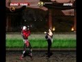 ShangTsung Mk2 Vs Sektor Mk3