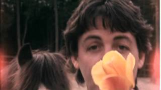 Paul McCartney & Michael Jackson - The Man (Home Movie Footage, 1981)