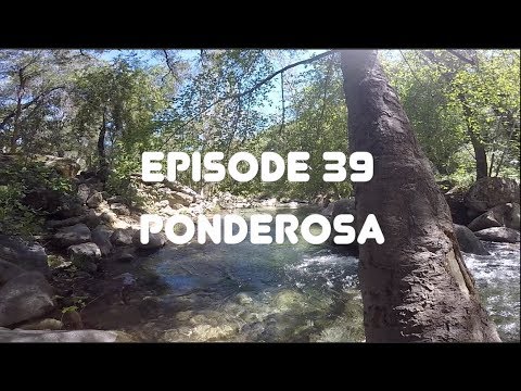 California Drifter: Episode 39 - Ponderosa