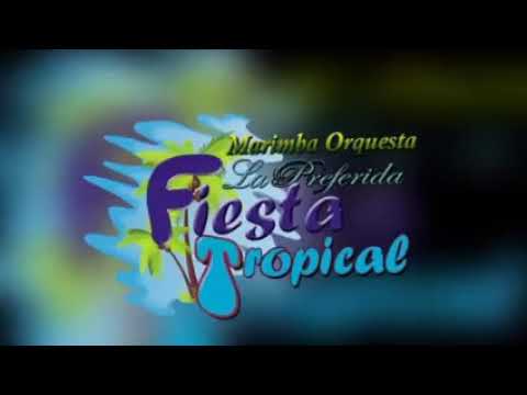 fiesta tropical( mix tigre