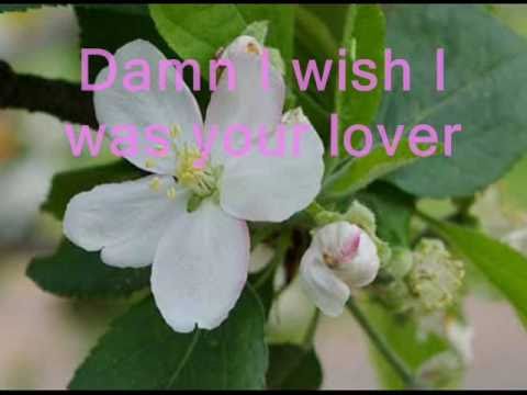Sophie B. Hawkins - DAMN I wish I was your lover