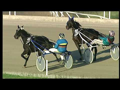 Trotto 11/12/2020 - 5ª corsa