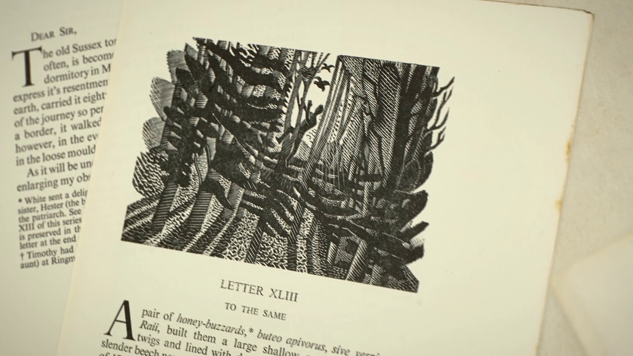 Gilbert White's Manuscript