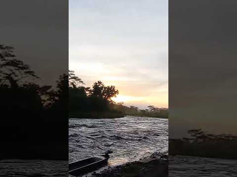 Puerto orochico en talamanca limón costa rica 🙏👍