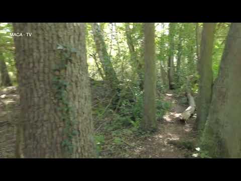 Spaziergang an der Jürse in Helstorf, Neustadt am Rübenberge