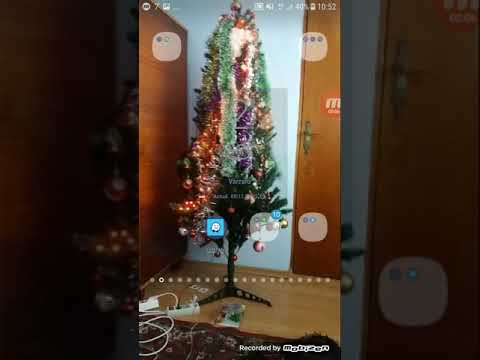 CHELUTU feat. Dorian Popa-Chelutu cu bradutu( Official Video )