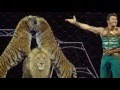 Alexander Lacey Big Cat Clinic Meet The Cats
