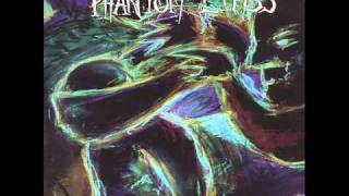 The Phantom Limbs - Somebody Twisted Your Arm
