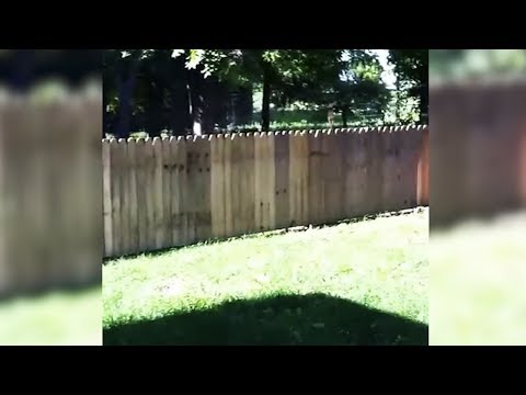 Der Mann ist stolz auf seinen neuen Holzzaun - Doch die Hauptfunktion hat es nicht erfüllt!