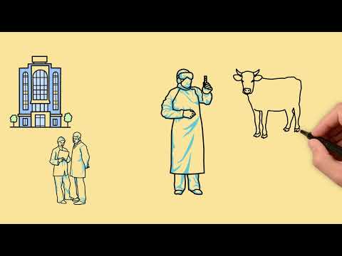 AQTA heyvanların peyvəndlənməsi ilə bağlı videoçarx hazırlayıb