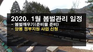 2020. 1월 봄벌관리 일정, 봄벌깨우기, 자극사양 등