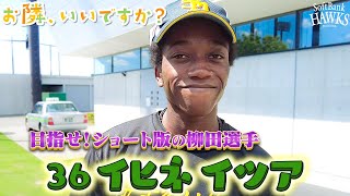 [分享] 軟銀會派去年第一指名來參加冬季聯盟