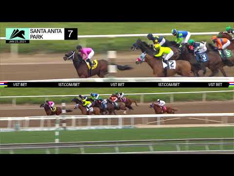 Palos Verdes Stakes (GradeIII) January 23, 2021