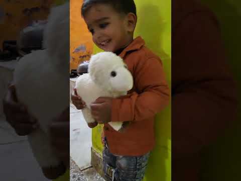 Vrishank as Mary & the #sheep 🐑 #kids