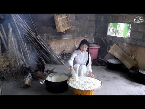 Vietnamese girl, demonstrates the simple process of making traditional rice wine | Bangbang