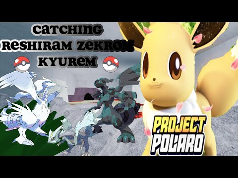How to catch Reshiram Zekrom Kyurem Pokemon PROJECT POLARO *Game Link in Description*