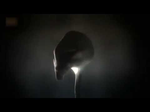 Dokument CZ - vidět znamená uvěřit