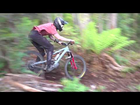 50to01 řádí v jungli