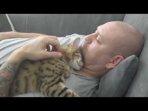 Akeelah (savannah F4) loves me