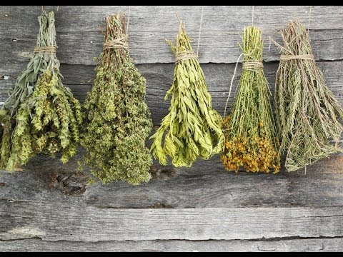 How to dry herbs