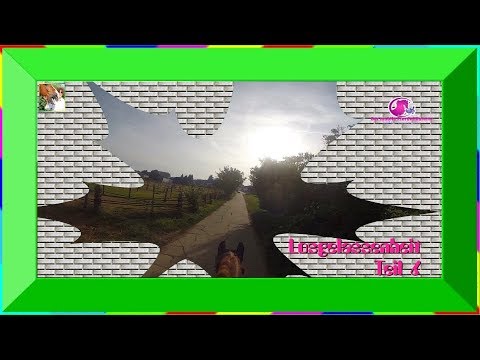 Arons Tipp der Woche zum Thema Losgelassenheit Teil6 – vom mobilen Pferdeflüsterer