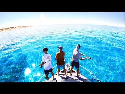 Remote Island Boat Trip With The Boys From How Ridiculous - Ep 222